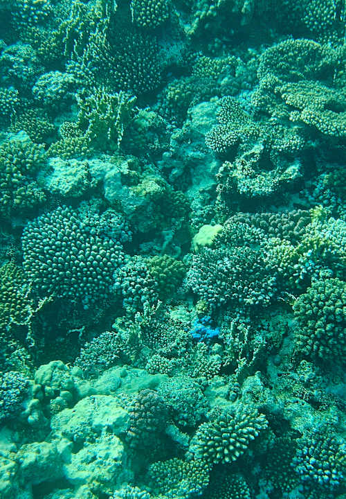 Sonstiges Diamond Beach by Pearl Resort