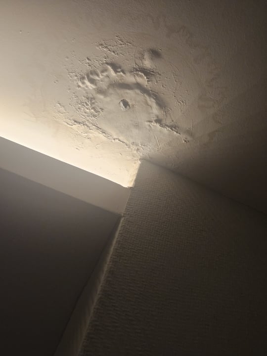 Sonstiges Royal Seginus