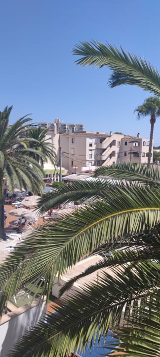 Ausblick HSM Linda Playa