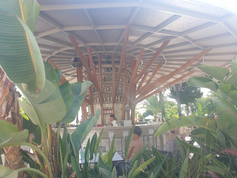 Pool PALOMA Perissia