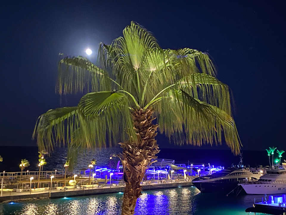 Außenansicht Pickalbatros Citadel Resort