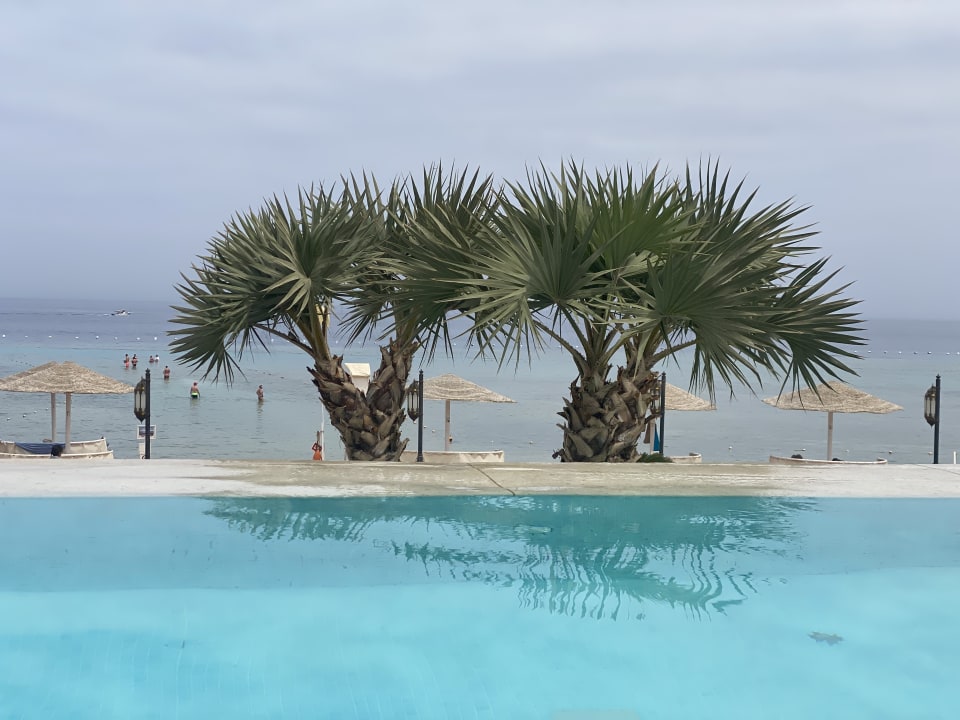 Pool Makadi Spa - Adults only