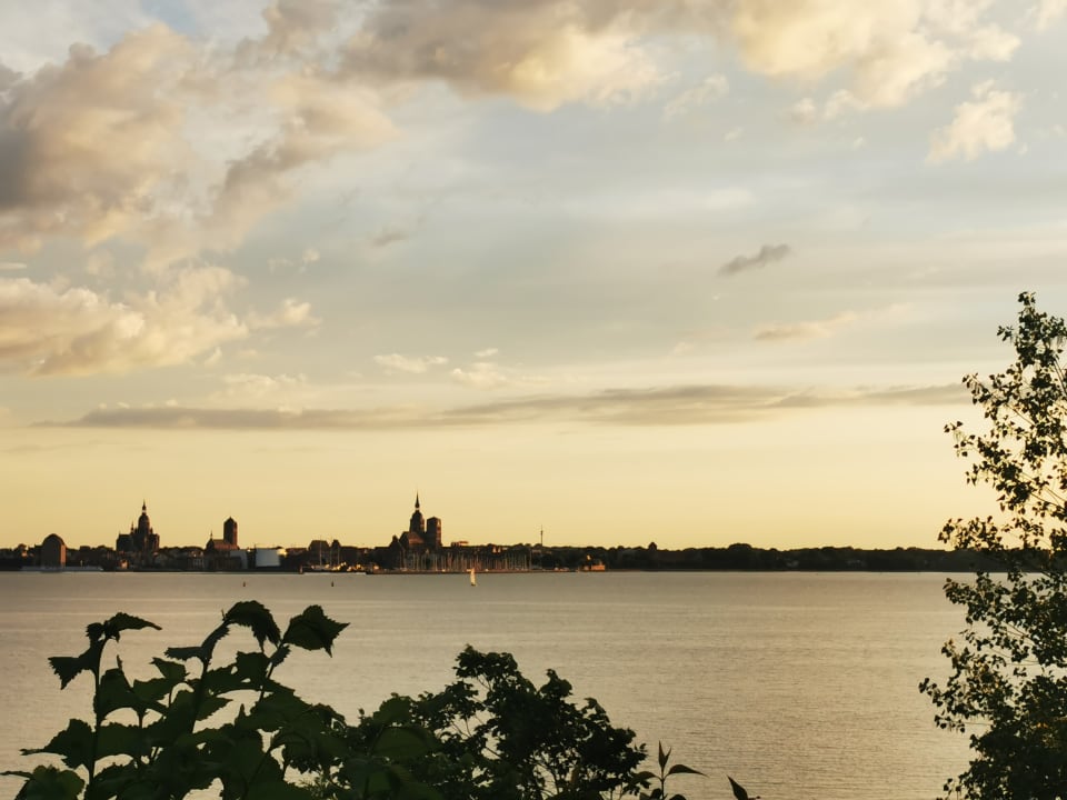 Ausblick Villa Hermine - Paradies Rügen
