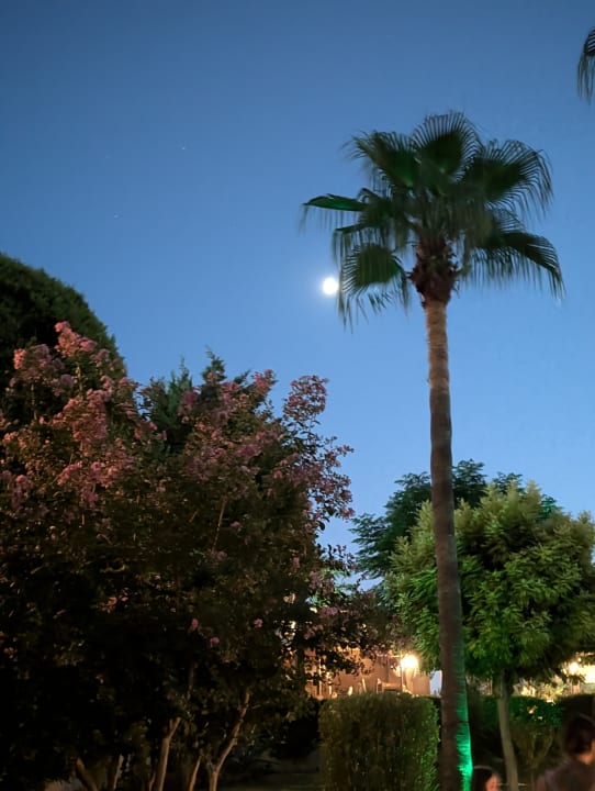 Außenansicht Aydinbey Kings Palace & Spa