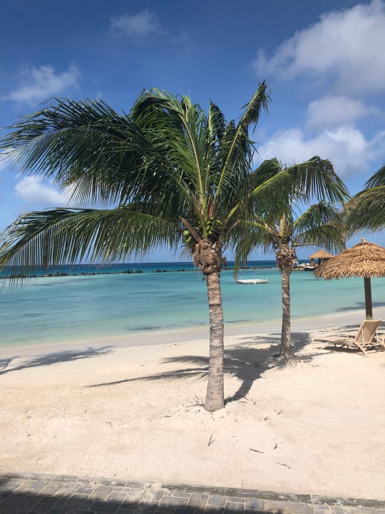 Strand Renaissance Aruba Resort & Casino