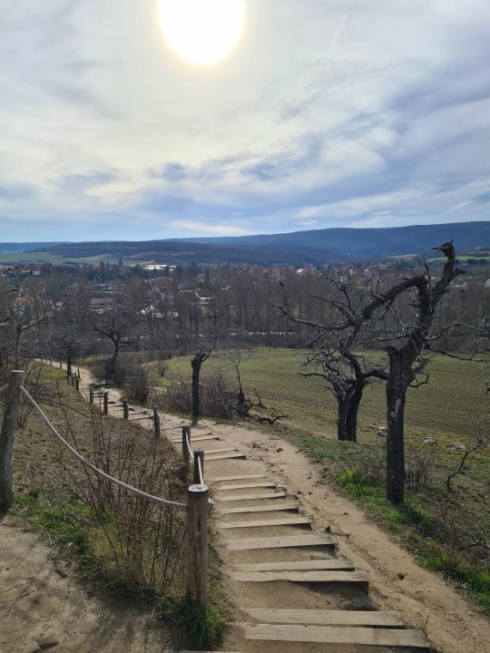 Ausblick Familotel Family Club Harz
