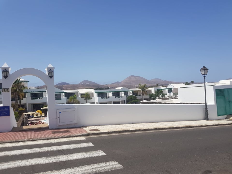Sonstige Relaxia Olivina