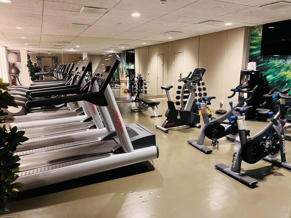 Sport & Freizeit Hotel Scandic Continental