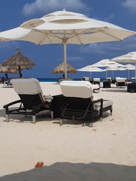 Strand Bucuti & Tara Beach Resort - Adults only