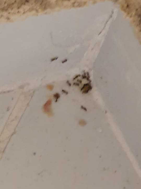 Zimmer Hotel Slavuna