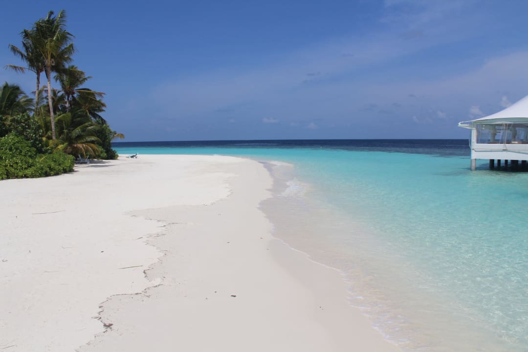 Traum! Safari Island Maldives