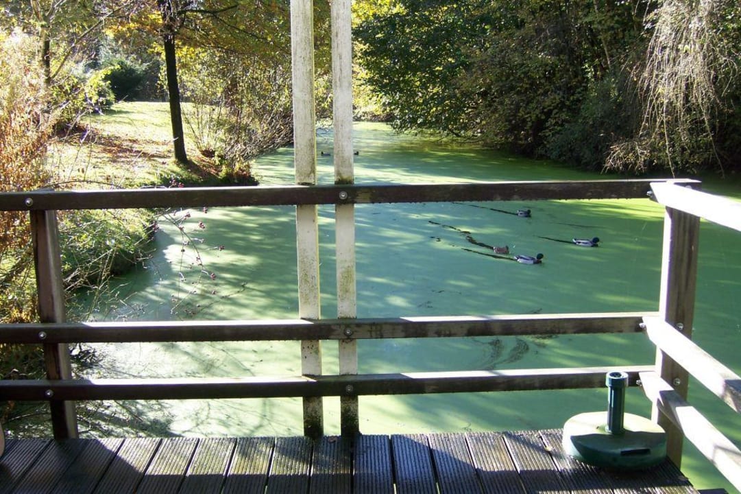 Blick aus dem Bungalow 565 Center Parcs De Eemhof