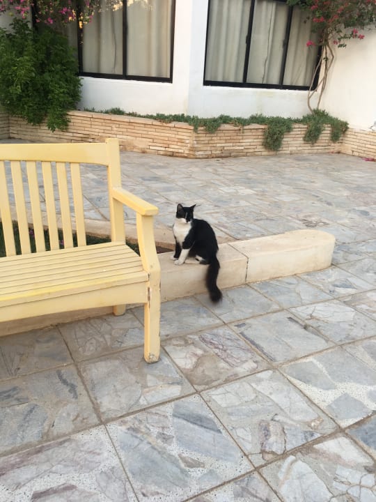 Gartenanlage The Grand Hotel Hurghada