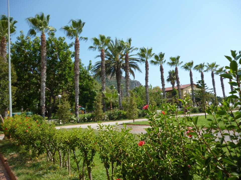 Парк у пляжа Hotel Aslan City Kleopatra