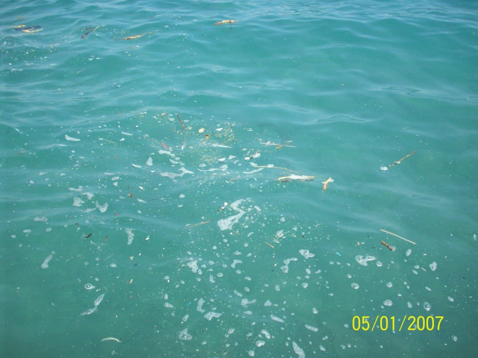 Verdrecktes Meer einen Tag Corendon Playa Kemer