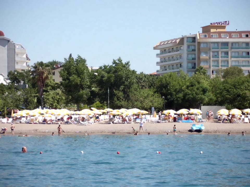 Gardenia zwischen zwei Hotel-Neubauten Hotel Gardenia Beach