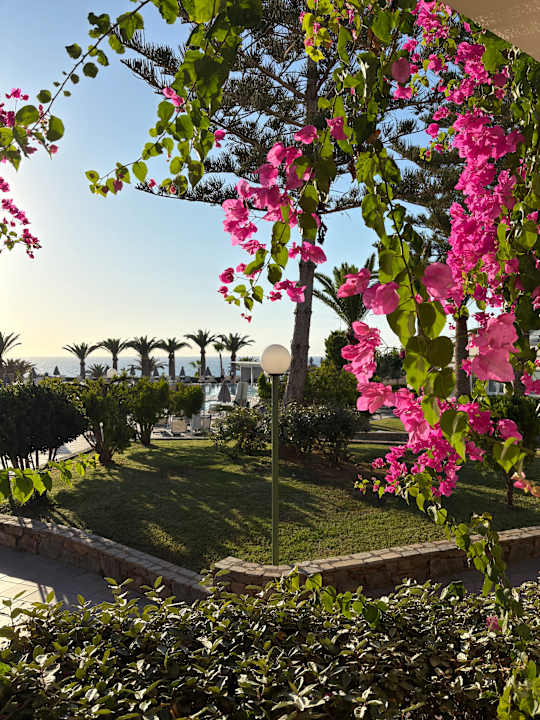 Gartenanlage Iberostar Waves Creta Panorama & Mare