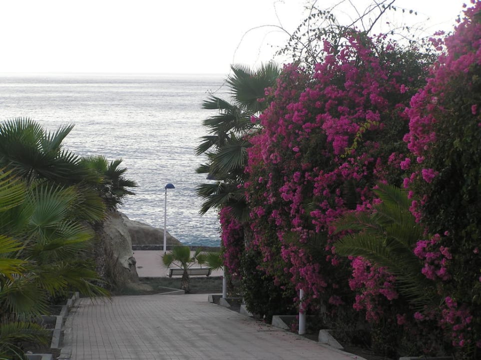 Droga nad ocean H10 Costa Adeje Palace