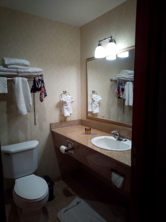 Zimmer Best Western Plus Hotel Miami Airport West Inn & Suites