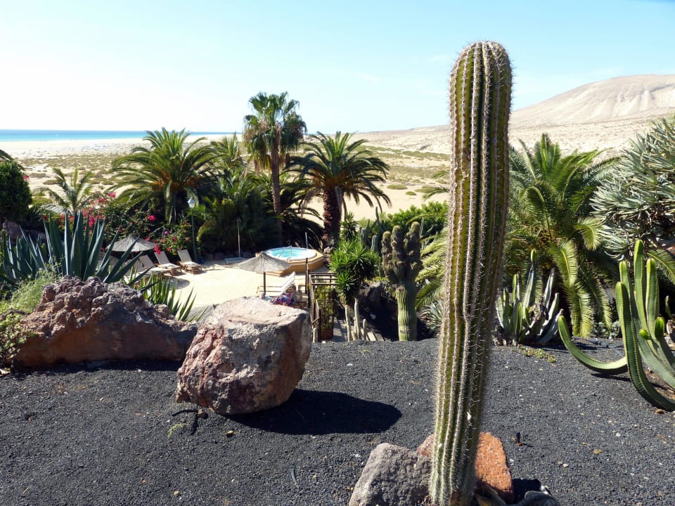 Blick auf die Playa Barca Paradisus by Meliá Fuerteventura