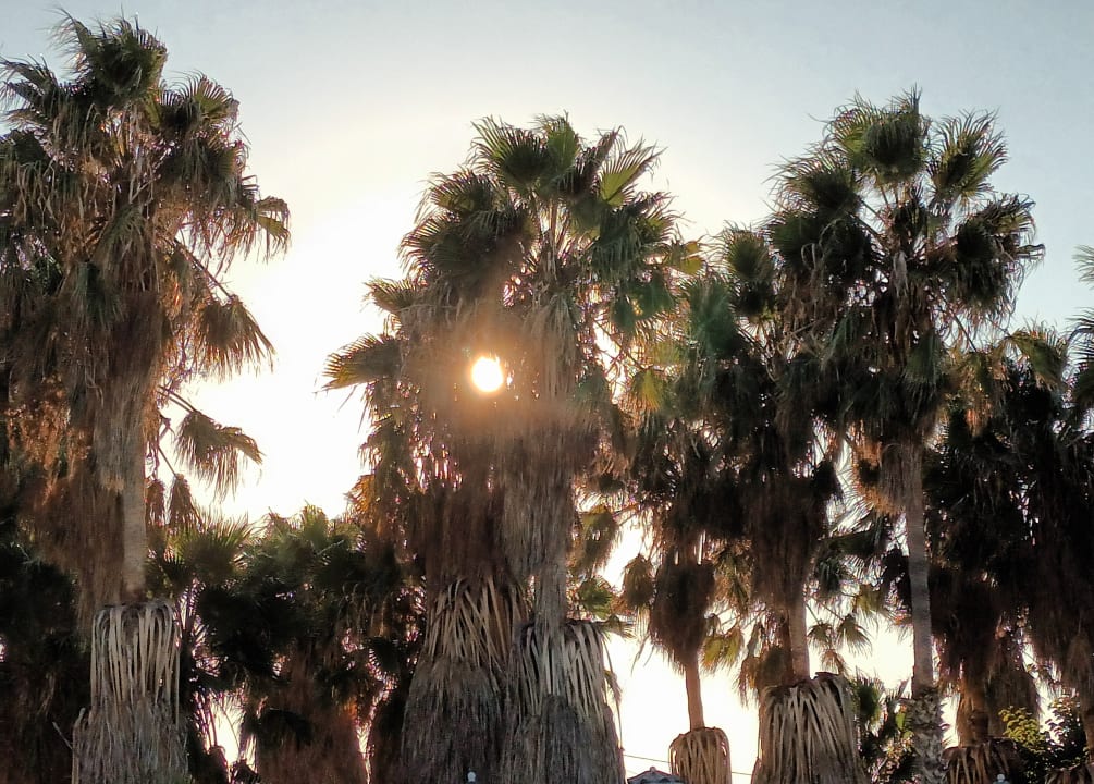 Ausblick Cosmopolitan Kos