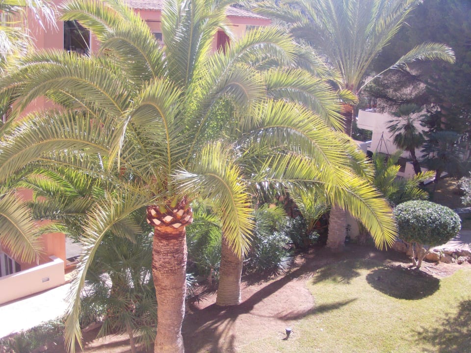 Von Block A 3 Etage blick zum Garten Valentin Somni Hotel & Suites