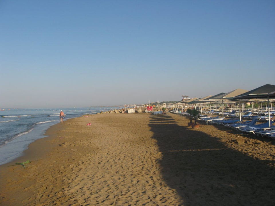 Liegen am Hotelstrand Miramare Queen Hotel
