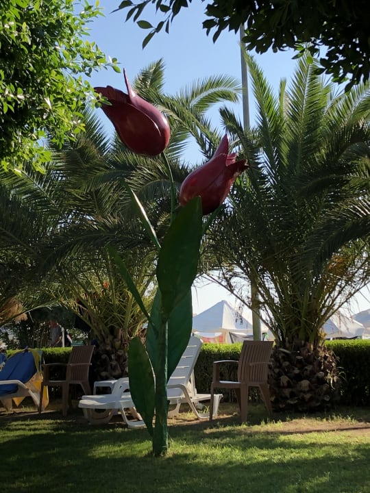 Gartenanlage Nerton Hotel - Erwachsenenhotel ab 16 Jahren