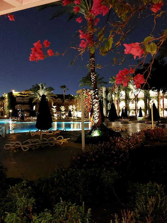 Außenansicht Desert Rose