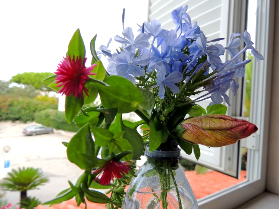 Zimmer Hotel Terme Royal Palm