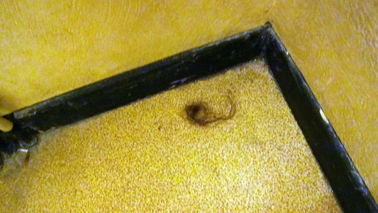 Haare am Boden neben dem Waschbecken Hotel Balladins Chalons St Martin