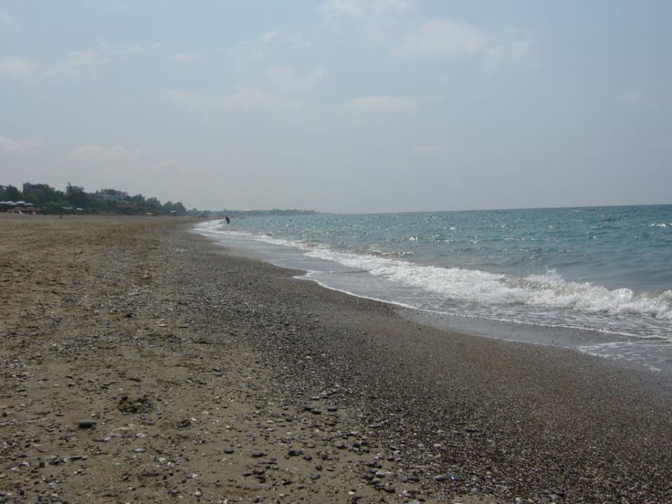 Sun Flipper Hotel Club Life Kizilot