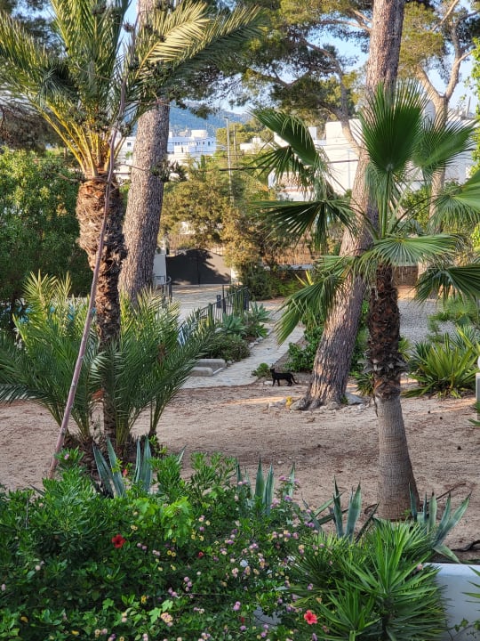 Gartenanlage Hotel Osiris