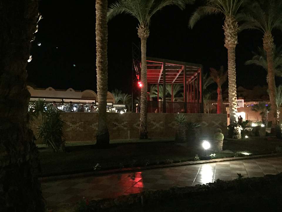 Garten Jaz Makadi Oasis Resort