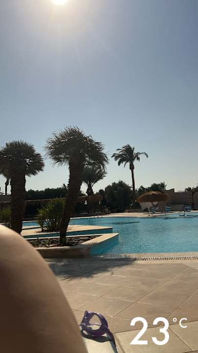 Zimmer Eagles Paradise Abu Soma