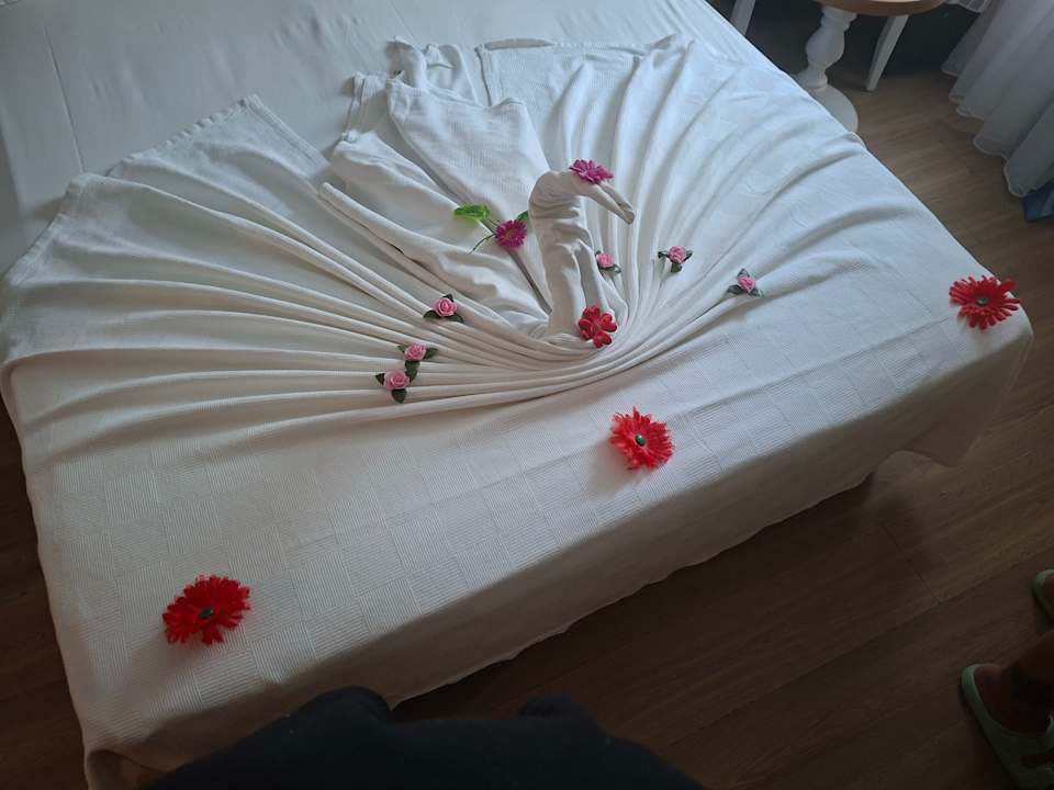 Pool Dream World Resort & Spa