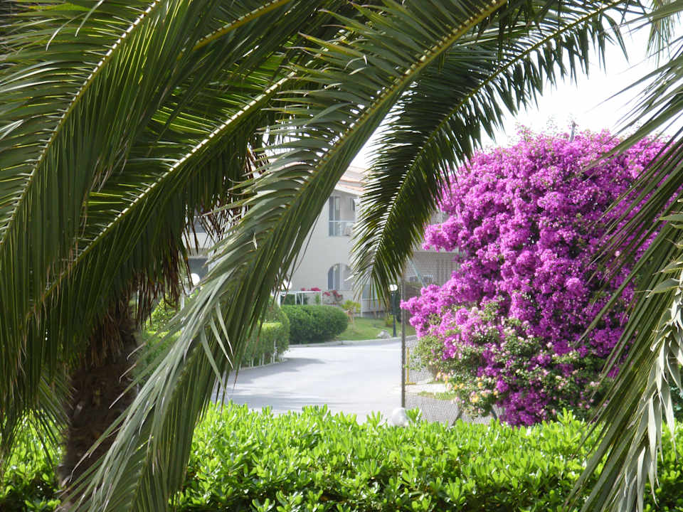Blick von der Terrasse Acharavi Beach Hotel