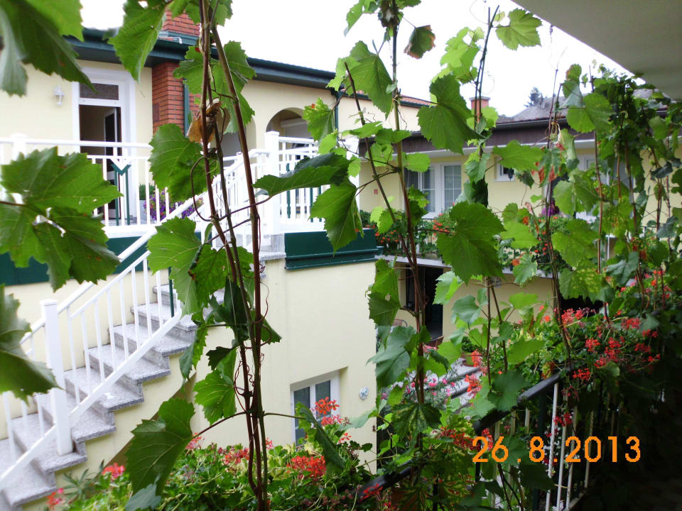 Innenhof Pension Peterhof