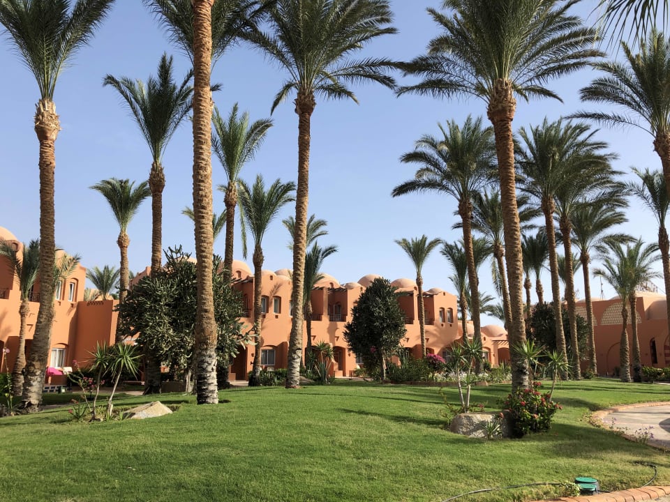 Ausblick Jaz Makadi Oasis Resort
