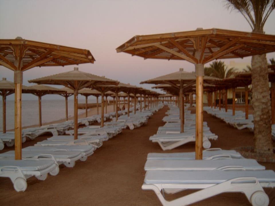 Strand Palm Beach Resort