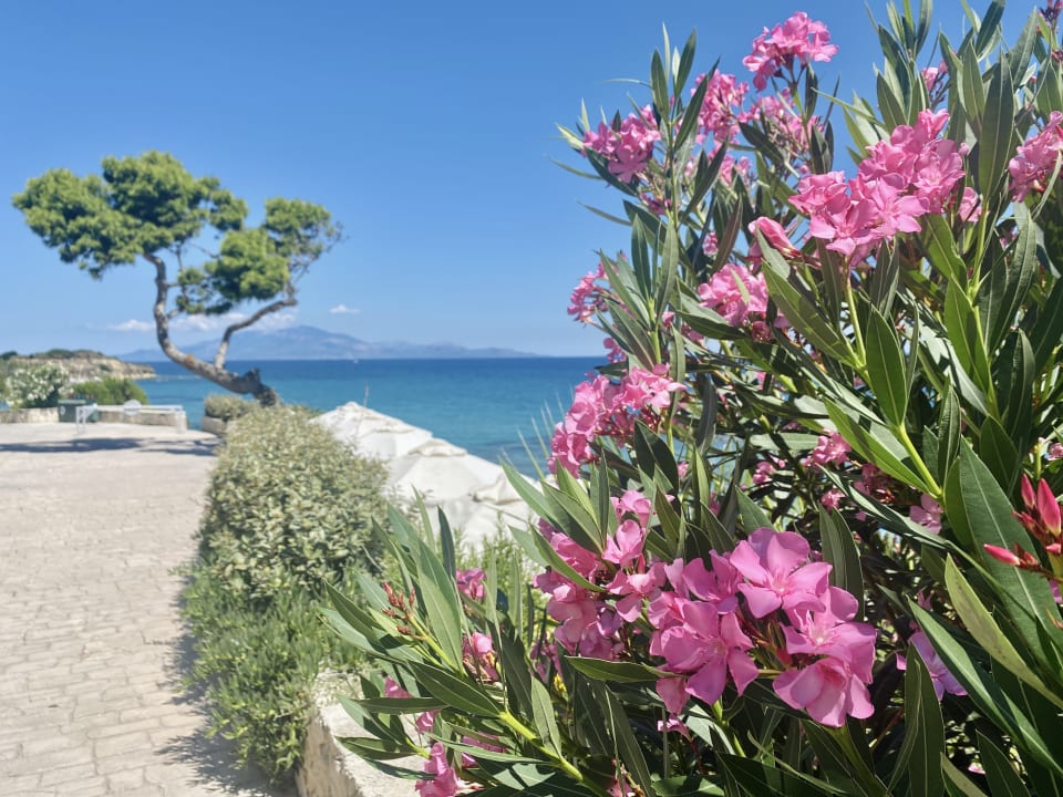 Außenansicht Alexandra Beach Resort & Spa
