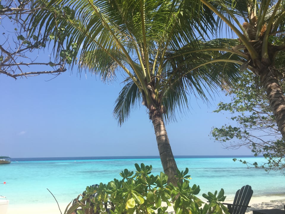 Strand Summer Island Maldives