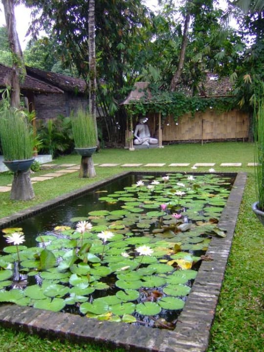 Garten vor dem 2. Gebäude D'Omah Hotel