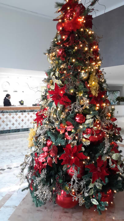 Lobby Hotel Riu Tequila