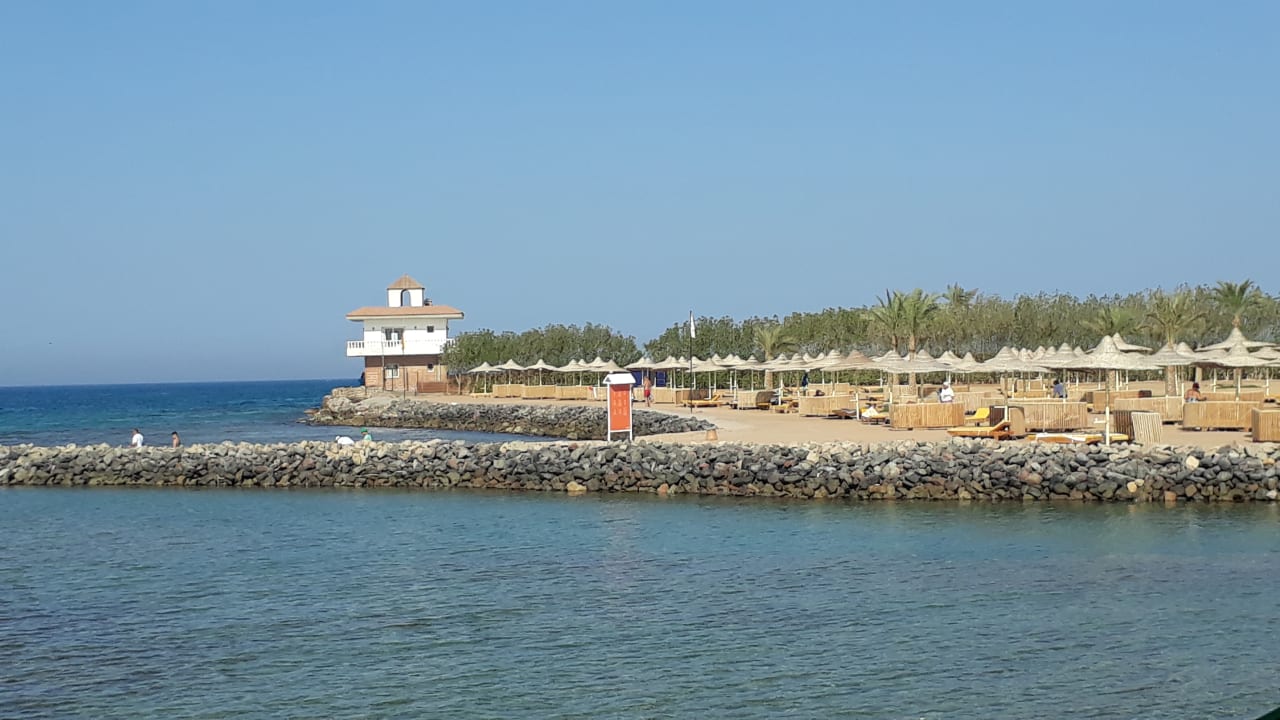Ausblick Desert Rose