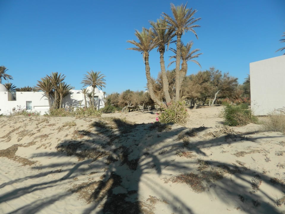 Tres agreable Hotel El Mouradi Djerba Menzel