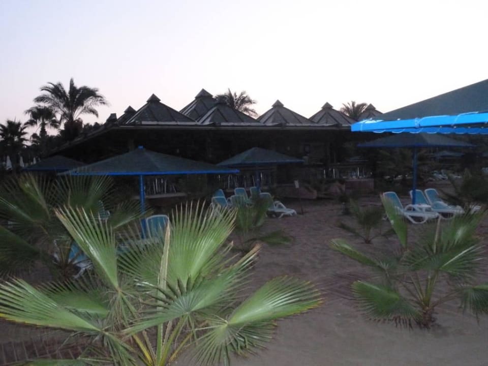 Liegeplatz mit Beach Bar Abend`s Paloma Oceana