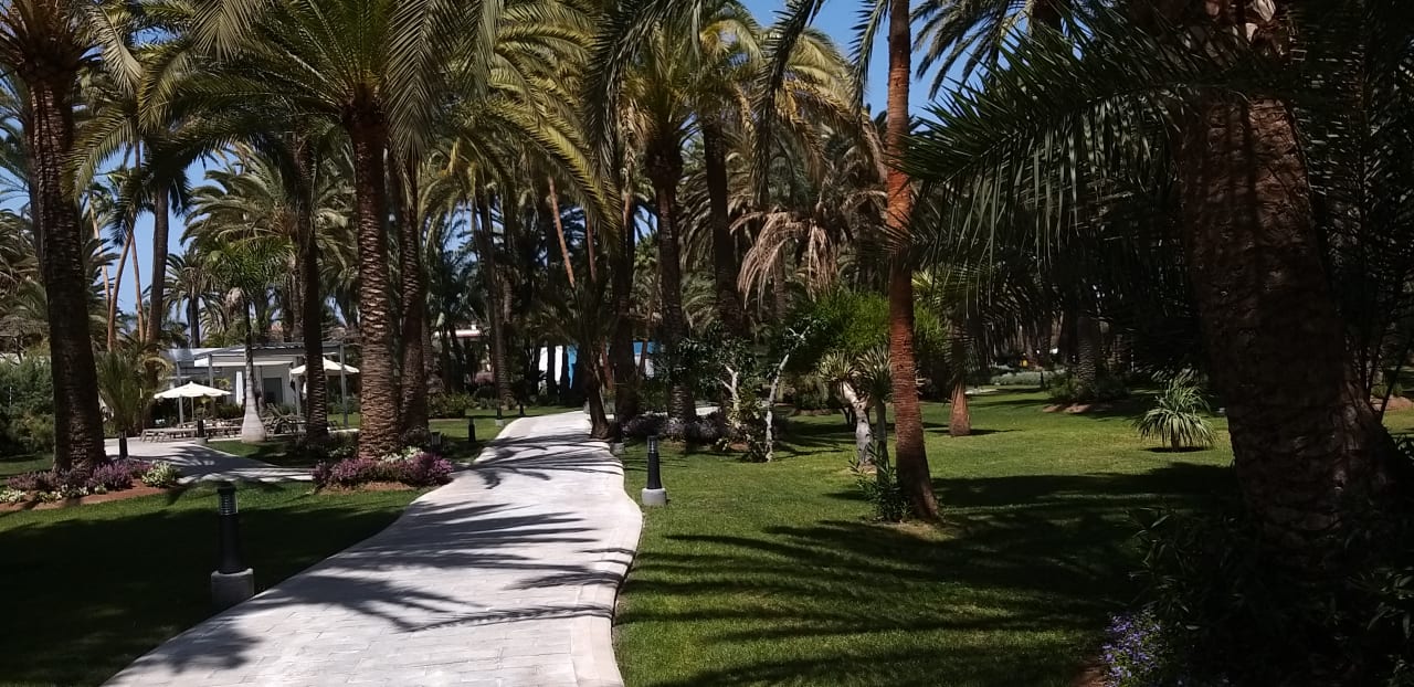 Gartenanlage Hotel Riu Palace Oasis