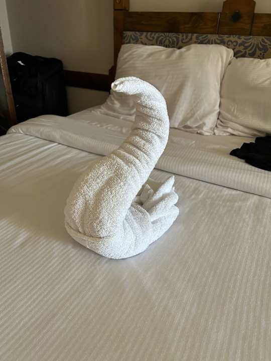 Zimmer Sunny Days Palma De Mirette Resort & Spa