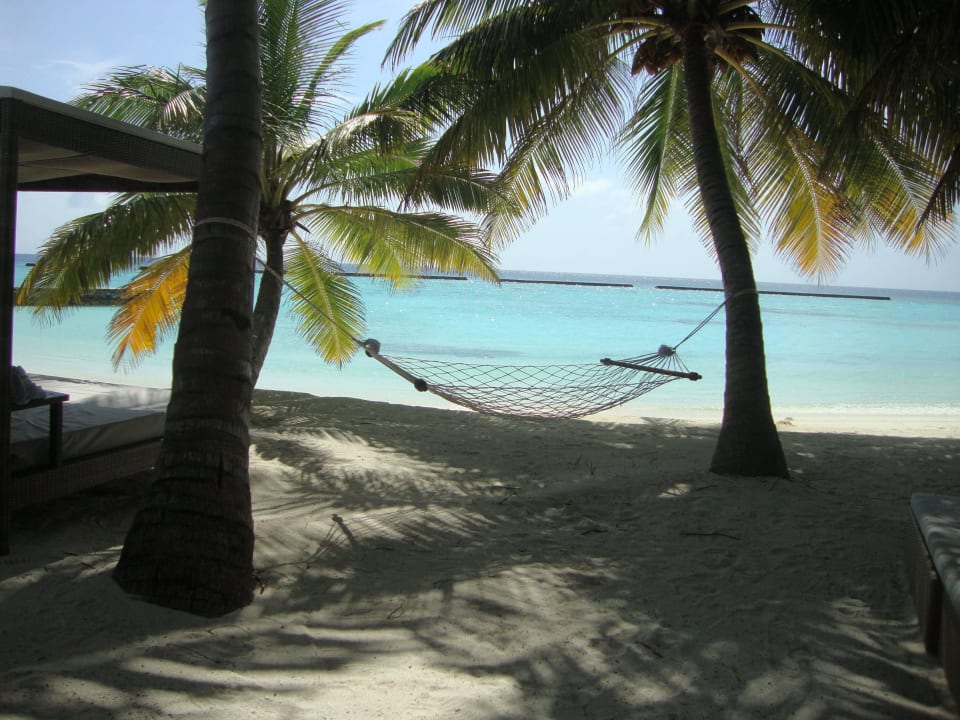 Überall Hängematten Veligandu Maldives Resort Island